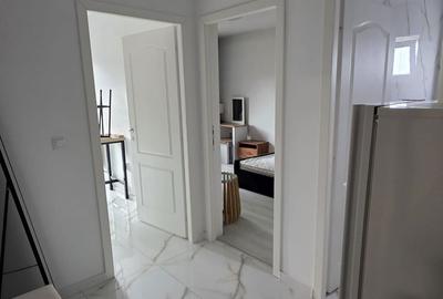 Garsonieră decomandată în Lunca Cetățuii - 6