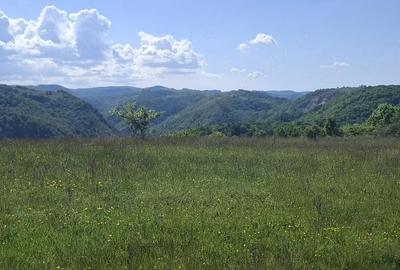 Teren de 10000 mp, în Ghelari - 5