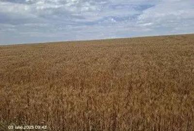 Teren Extravilan Pribesti, ID: R2774827 - 9