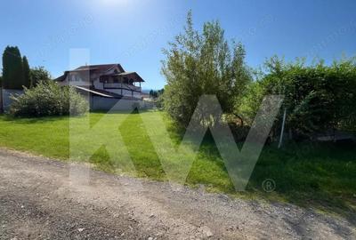 Teren intravilan 1.000 mp de vanzare Talmaciu - 2