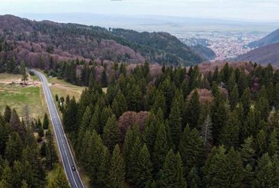 Teren de 1000 mp, în Poiana Brașov