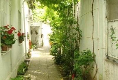 Casa singur curte, gradina mare frumoasa, Eminescu,Tunari - 9