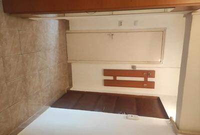 Apartament cu 2 camere decomandat în Bejan - 17