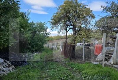 Teren de 6896 mp, în Borhanci - 1