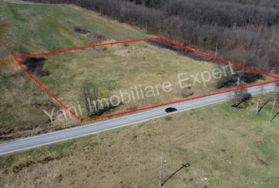 Teren de 10000 mp, în Central - 3