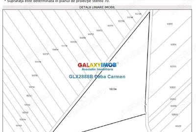 Teren de 25000 mp, în Nord - 3