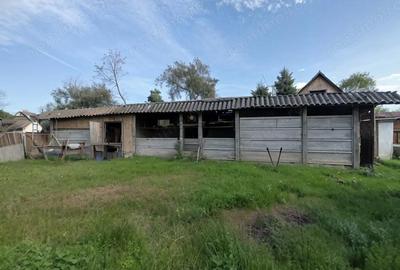 Casă cu 4 camere cu Teren 4122 Mp în Petid - 7