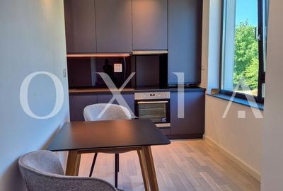 AX1068 Dumbravita, Bulevardul Petre Tutea, Prima Inchiriere - 14