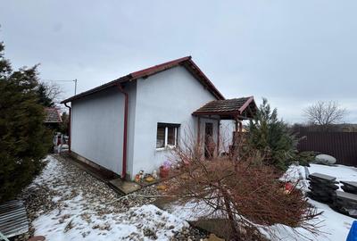 Casă parter + teren 1.000 mp, la 150 m de Dunăre – Tismana, jud. Mehedinți - 2