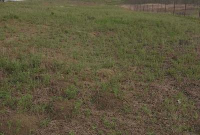 Spațiu comercial, în Cătămărești - 5