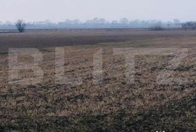 Teren de 30000 mp, în Central - 3