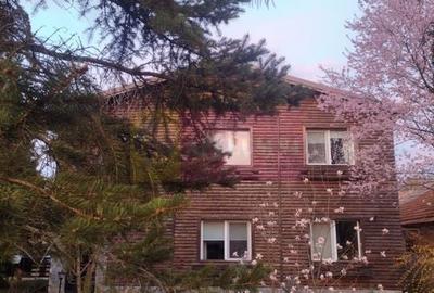 Vila de vanzare in Brebu - Zona Brebu Manastirei - 23