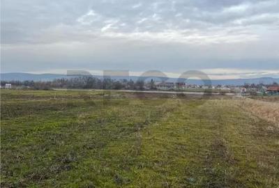 Teren de 550 mp, în Oșorhei - 5