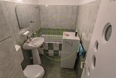 Apartament cu 2 camere semidecomandat, mobilat în George Enescu - 8