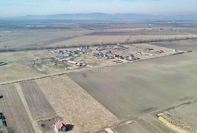 Teren Extravilan, P.U.Z. inceput - 17