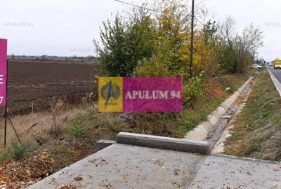 Teren Construcții intravilan de 13705 mp, în 1 Decembrie - 2