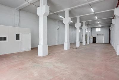 Spațiu industrial, de 250 mp, în Bucur Obor - 1