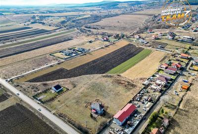 Teren Construcții intravilan de 31605 mp, în Exterior Est - 10