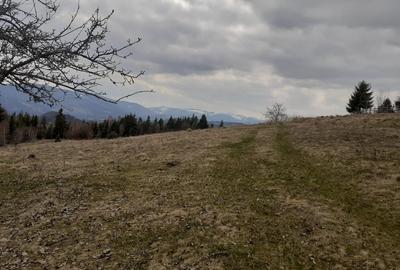 Casă individuală cu 2 camere cu Teren 36500 Mp în Albac - 5