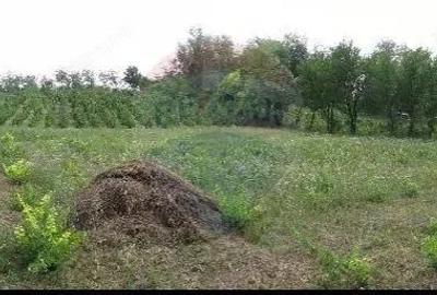 Teren de 6890 mp, în Crasna - 4