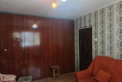 Apartament cu 2 camere nedecomandat, mobilat în Podu Roș - 7