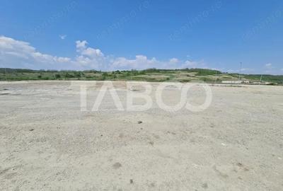 Teren de 40000 mp, în Teiu - 4