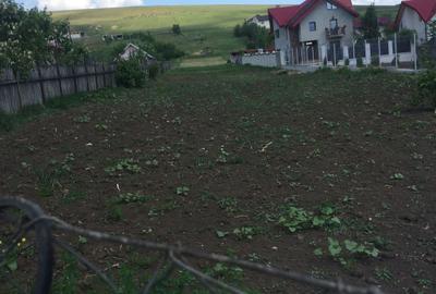 Spațiu comercial, în Lețcani - 5