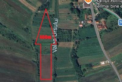 Teren de 4000 mp, în Cârjiți - 2