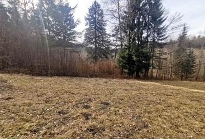 Teren intravilan 2000 mp în Vulcan BV – Oază de liniște între pădure și lacuri - 12