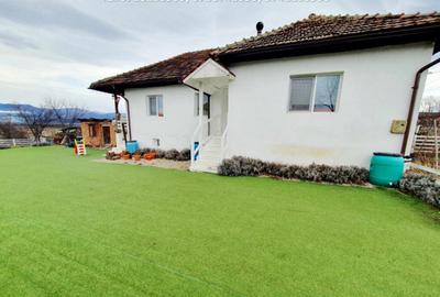 Inchiriere casa cocheta, situata in Tetila (Curti?oara Go - 19