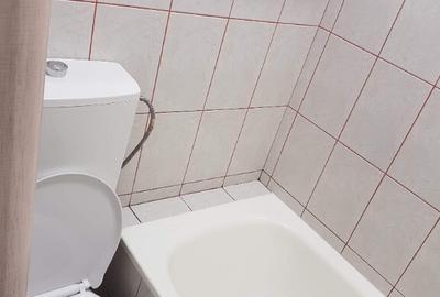 Inchiriez garsoniera sectorul 3 Ozana - 3