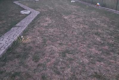 Casă cu 1 camere în Băbana - 3