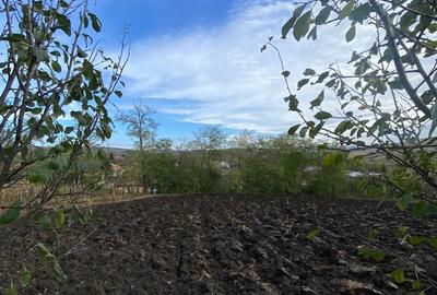 Casa de vanzare in sat Padureni, comuna Tritenii de Jos - 13