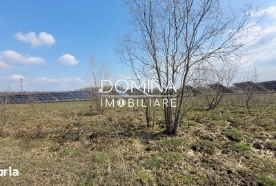 Teren de 978 mp, în Drăguțești - 3