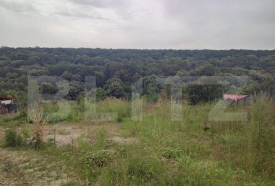 Teren 2350 mp langa padure ,zona Leamna de Jos Teren 2350 mp langa padure ,zona Leamna de Jos - 2