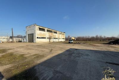 Hale industriale cu teren 6600 mp de vanzare in Com. Cefa - 1