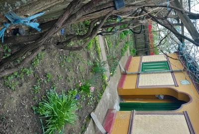 Casă cu 3 camere cu Teren 1980 Mp în Silistraru - 8