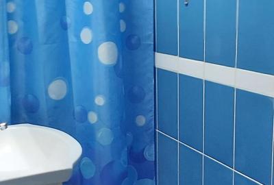 Apartament cu 4 camere decomandat în Băilești - 2