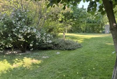 Casă cu 5 camere în Bragadiru - 10