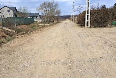 Teren de 1350 mp, în Dorobanț - 8