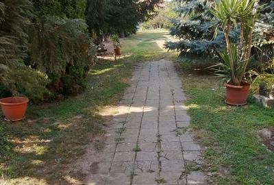 Casă cu 4 camere în Vânători - 10
