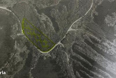 Teren de 6000 mp, în Petrești - 3