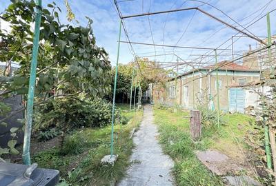 TEREN | DELFINARIU | DESCHIDERE 13 - 3