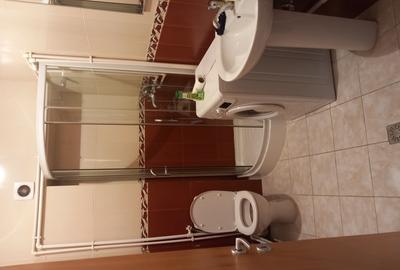 Garsonieră în Vitan - 3