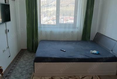 Apartament 3 camere Carter Tei - 3