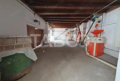 Moara + casa de locuit 375 mp utili 7350 mp teren intravilan - 6