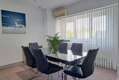 Sediu de birou chiar in Piata Victoriei langa Guvern - 13