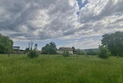 Teren de 5000 mp, în Central - 4