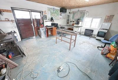 Spațiu comercial, de 500 mp, în Adămuș - 15