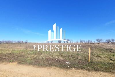 Teren agricol extravilan de 873 mp, în Șura Mică - 7